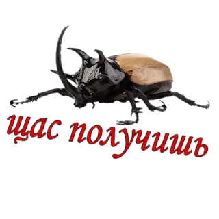 😡 emoji жуки пауки Telegram sticker 6 of 100