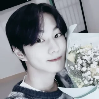 Sticker from —#jungwon꙳◦.*∘• //  @vvloco