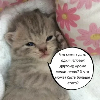 🧠 emoji Голые бляди.   @amare_shit Telegram sticker 11 of 120