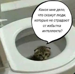 🧠 emoji Голые бляди.   @amare_shit Telegram sticker 7 of 120