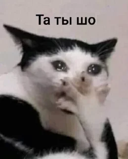 😱 emoji Всё и сразу Telegram sticker 18 of 71