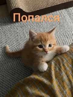 Sticker from Всё и сразу