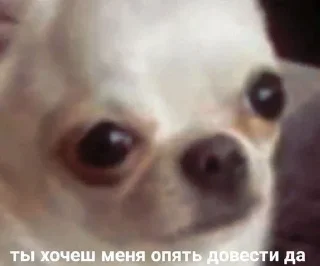 😡 emoji Всё и сразу Telegram sticker 9 of 71