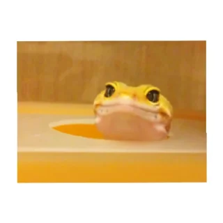 😄 emoji Ну не посредственно ящерки!! Telegram sticker 5 of 19