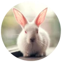😠 emoji Хитрый кролик Telegram sticker 11 of 74