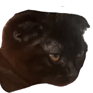 🫥 emoji Нюшка Telegram sticker 20 of 22