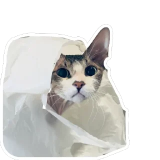 😳 emoji Айоська Telegram sticker 12 of 14