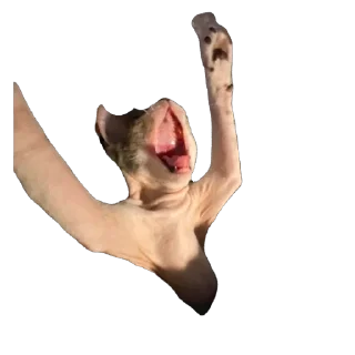 😝 emoji Айоська Telegram sticker 7 of 14