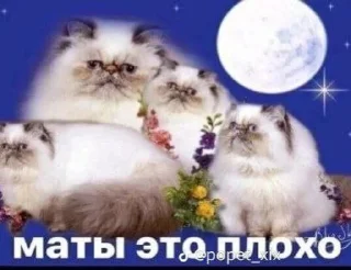 😐 emoji Амнезиак в жопе Telegram sticker 16 of 38