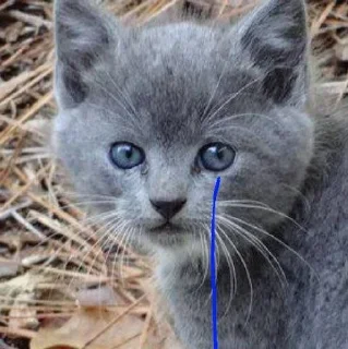 😢 emoji Овер Telegram sticker 6 of 15
