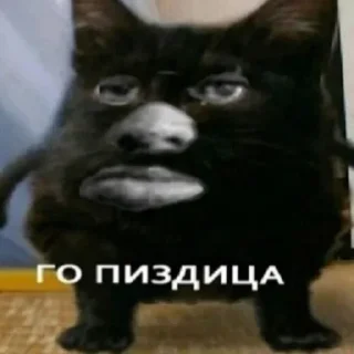 Sticker from для вп by @psychozxcu