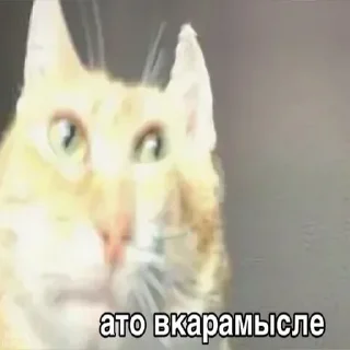 🤓 emoji для вп by @psychozxcu Telegram sticker 6 of 47