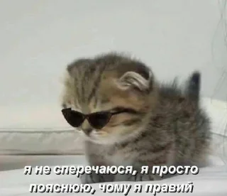 😎 emoji коти Telegram sticker 22 of 87