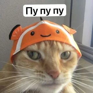 Sticker from коти
