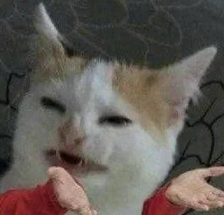 🤨 emoji Коты Telegram sticker 16 of 22