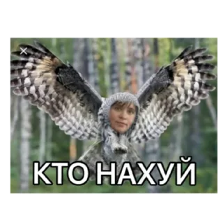 🦉 emoji Виктория Telegram sticker 9 of 27