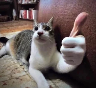 😜 emoji собака улыбака Telegram sticker 14 of 41
