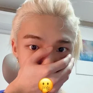 🫢 emoji жоскей пон стрейкидыс и кпопап Telegram sticker 8 of 38