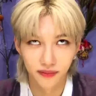 🙄 emoji жоскей пон стрейкидыс и кпопап Telegram sticker 9 of 38