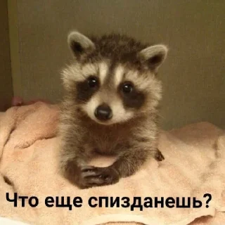 😑 emoji Ммм Telegram sticker 10 of 23