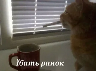 🤗 emoji Лютейша свага Telegram sticker 18 of 77