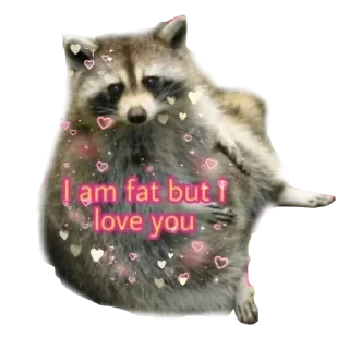 🥰 emoji RACCOON Telegram sticker 24 of 57