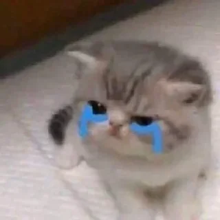 🥲 emoji котыдлямеов Telegram sticker 13 of 29