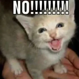 ❌ emoji котыдлямеов Telegram sticker 20 of 29