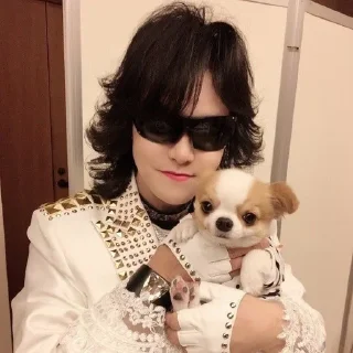 🐶 emoji Toshi Telegram sticker 17 of 85