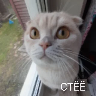 🤯 emoji Тоша мой хороший Telegram sticker 6 of 14
