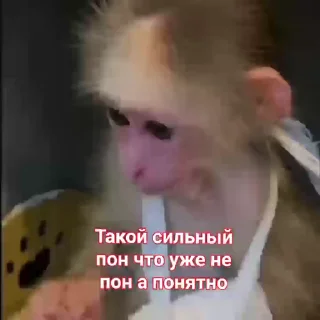 🤨 emoji лол Telegram sticker 17 of 51