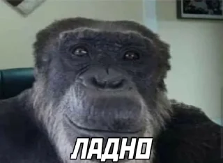 😑 emoji Да поебать мне Telegram sticker 24 of 105