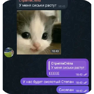 🥰 emoji Компроматик Telegram sticker 1 of 120