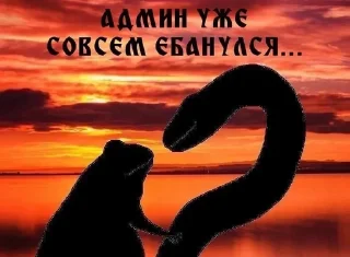 🤯 emoji @korolpupsikov Смешные картинки два Telegram sticker 14 of 50