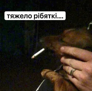 Sticker from побацим коли