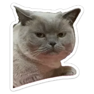 Sticker from llrissa