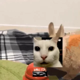 🌟 emoji Белый Telegram sticker 8 of 14