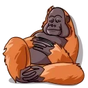 👋 emoji "ХАРДЕД" Telegram sticker 14 of 26