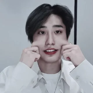 🥡 emoji ᝰ jisung :: @neverzse Telegram sticker 23 of 36