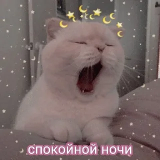 🥱 emoji Смешнявки Telegram sticker 9 of 30