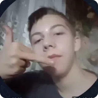 🖕 emoji Данила Telegram sticker 16 of 50