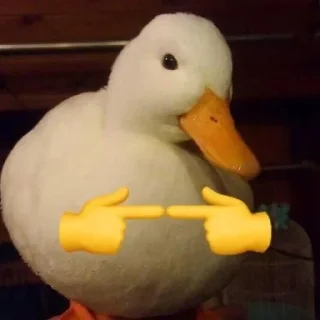 🦆 emoji 𓏺 @ll8Il8l 🦩. Telegram sticker 15 of 45