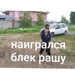 🚗 emoji Динаху Telegram sticker 5 of 69