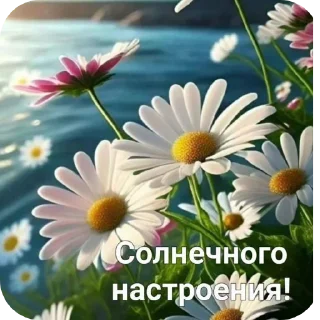 🌸 emoji уляч Telegram sticker 20 of 30