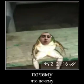 🐸 emoji жаба Telegram sticker 14 of 14