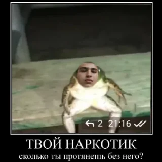 🐸 emoji жаба Telegram sticker 10 of 14
