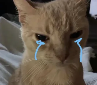 😞 emoji няняня: @giffkao Telegram sticker 11 of 103