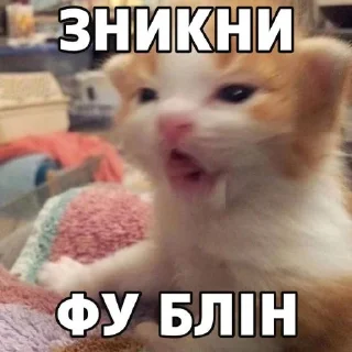 🤮 emoji нар котікі by @otruyina Telegram sticker 11 of 20