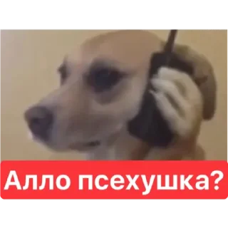 🙂 emoji Привет Telegram sticker 9 of 36