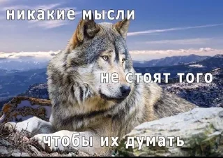🌟 emoji Пак для инцелов Telegram sticker 14 of 16